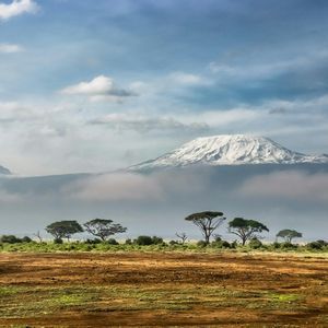 Una montaña nevada se eleva sobre una capa de nubes, dominando una llanura de sabana con acacias dispersas.