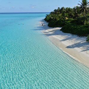 Una vista aérea de una playa tropical con arena blanca, agua turquesa cristalina y una hilera de palmeras verdes.