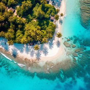 Luftaufnahme einer tropischen Halbinsel mit Palmen, einem weißen Sandstrand und klarem türkisfarbenem Wasser über einem Korallenriff.
