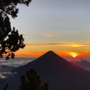 Le soleil se lève sur un volcan en silhouette au-dessus d'une mer de nuages, encadré par des pins sous un ciel orange et bleu.