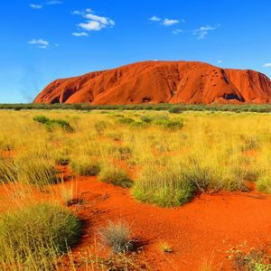 Unter einem klaren blauen Himmel erhebt sich ein großer roter Sandsteinmonolith aus einem Feld von gelben Gräsern und roter Erde.