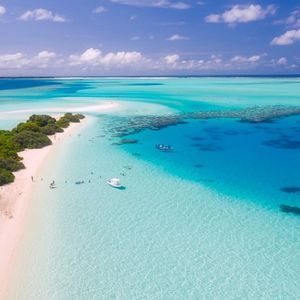 Vue aérienne d'un banc de sable blanc tropical avec des arbres verts, entouré d'une eau turquoise claire avec des bateaux et des nageurs.