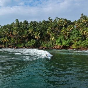 Un surfista cavalca un'onda su una tavola da surf con una lussureggiante costa tropicale coperta di palme sullo sfondo.