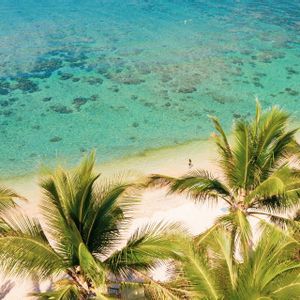 Une vue aérienne d'une plage tropicale avec des palmiers au premier plan, du sable blanc et une eau turquoise claire.
