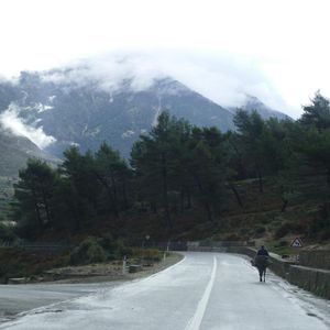 Una persona conduce un asino lungo una strada bagnata e tortuosa in una regione montuosa con pini e nuvole.