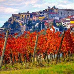 Un vigneto con foglie autunnali rosso vivo in primo piano si affaccia su un colorato villaggio costruito su una collina sullo sfondo.