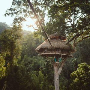 Una casa sull'albero in legno con tetto di paglia, annidata in alto in un grande albero, circondata da una giungla verde lussureggiante con il sole che filtra attraverso la chioma.