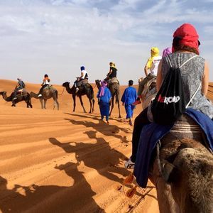 Un voyage de groupe WeRoad à dos de chameau en caravane à travers des dunes de sable orange sous un ciel lumineux.