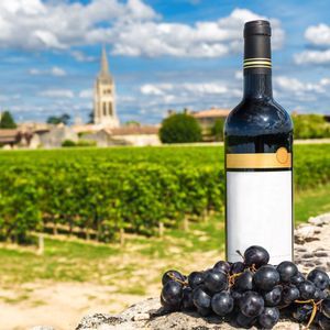 Una bottiglia di vino rosso e un grappolo d'uva nera poggiano su un muro di pietra, con un rigoglioso vigneto verde e un villaggio sullo sfondo.