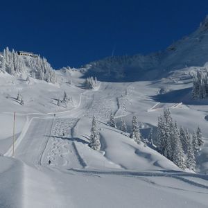 Ampia vista di una valle montana innevata con piste da sci, pini imbiancati di neve e una seggiovia sotto un cielo azzurro limpido.