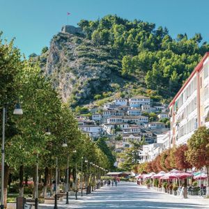 A wide, tree-lined street leads toward a hillside town with white houses and a fortress on the summit.