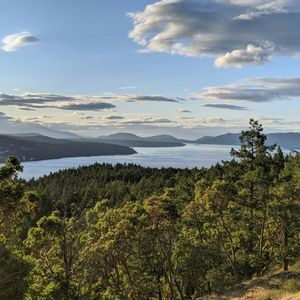 Una vista panoramica su una fitta foresta sempreverde verso un grande specchio d'acqua punteggiato di isole e montagne distanti sotto un cielo blu con nuvole sparse.