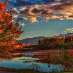 Un paesaggio autunnale con alberi colorati e un lago calmo che riflette il cielo nuvoloso, con montagne sullo sfondo.