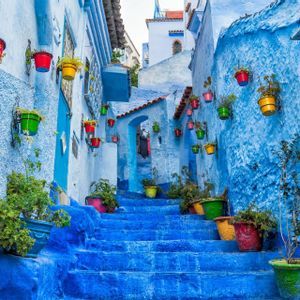 Un callejón estrecho con escaleras, donde las paredes y los escalones están pintados de azul brillante y decorados con macetas de flores coloridas.