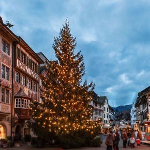 Un grande albero di Natale decorato con luci si erge in una piazza cittadina festosa, circondato da edifici storici e persone al tramonto.