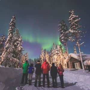 Eine WeRoad-Gruppe steht nachts in einem verschneiten Wald und beobachtet, wie das grüne Nordlicht den Sternenhimmel erhellt.