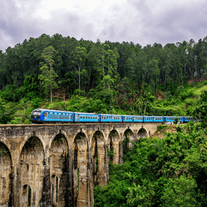 Un train de passagers bleu traverse un grand pont de pierre à arches multiples, entouré d'une forêt verte luxuriante et dense, sous un ciel nuageux.