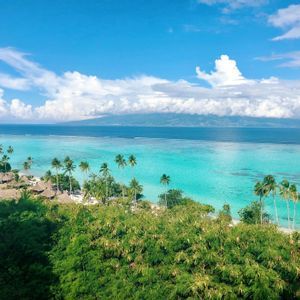 Una vista dall'alto sopra le cime degli alberi di una costa tropicale, con palme, capanne sulla spiaggia e acqua turchese, e una grande isola all'orizzonte.