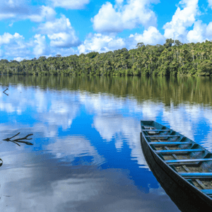 A wooden boat floats on a calm river that reflects the blue sky and clouds, with a dense green forest in the background.