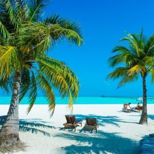 Palmeras que dan sombra a las tumbonas en una playa de arena blanca, con vistas a un mar turquesa y un muelle al fondo.