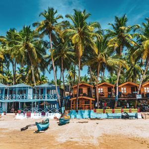 Des bungalows colorés en bord de mer et un bâtiment bleu sont posés sur le sable, adossés à une dense palmeraie de grands cocotiers sous un ciel bleu clair.