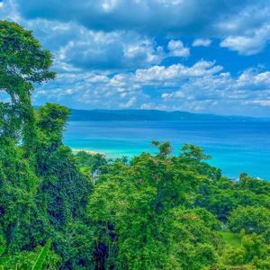 Une vue en hauteur sur une canopée verdoyante et luxuriante, vers une mer turquoise, une plage de sable et des montagnes lointaines sous un ciel bleu et nuageux.