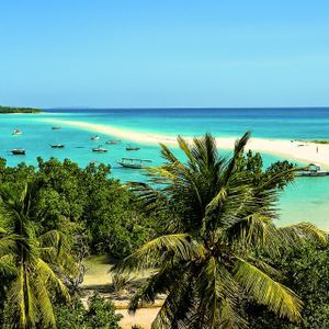 Une vue aérienne sur des palmiers, un banc de sable blanc s'étendant dans une mer turquoise, avec plusieurs petits bateaux ancrés dans l'eau.