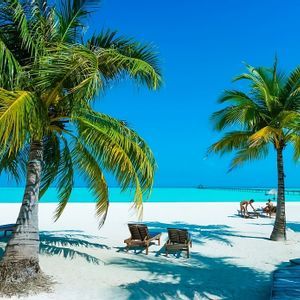 Palmeras en una playa de arena blanca con tumbonas frente a un océano turquesa y un muelle en la distancia bajo un cielo azul claro.