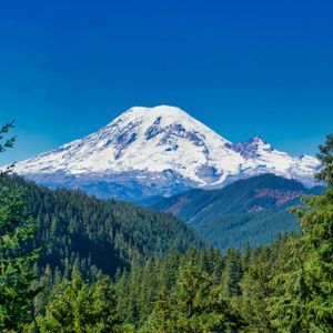Una grande montagna innevata si erge su una fitta foresta sempreverde sotto un cielo azzurro limpido e brillante.