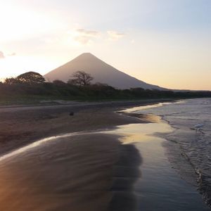Ein weißer Reiher schreitet an einem feuchten Sandstrand entlang, während Wellen das Ufer sanft umspülen und sich ein großer Vulkan vor dem Sonnenuntergangshimmel abzeichnet.