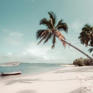 A leaning palm tree on a sandy tropical beach with a small boat anchored in the calm, blue ocean.