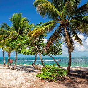 Palm trees on a sandy beach border a calm turquoise ocean under a blue sky with white clouds.