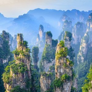 Tall, thin rock pillars topped with green vegetation rise from a dense forest, with misty mountains in the background.