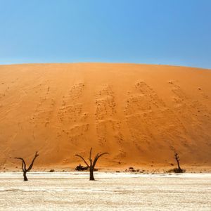 weroad-namibia-africa