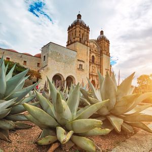 Large agave plants in the foreground of a historic stone church with two ornate bell towers at sunset.