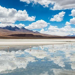 Eine Herde rosafarbener Flamingos watet in einem flachen See, der einen blauen Himmel mit Wolken spiegelt, mit schneebedeckten Bergen in der Ferne.