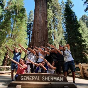 Un viaje en grupo de WeRoad haciendo un dab frente al Árbol General Sherman en un soleado bosque de secuoyas.