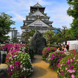 Ein traditionelles japanisches Schloss mit weißen Mauern und grünen Dächern, von einem Gartenweg aus betrachtet, der von leuchtend rosa und weißen Blütenbüschen gesäumt ist.