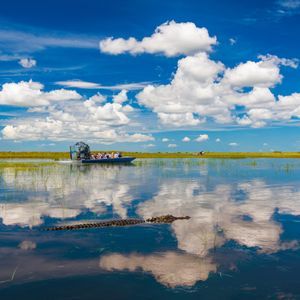 Un gruppo WeRoad a bordo di un airboat naviga in una palude, con un alligatore che nuota in primo piano sotto un cielo azzurro nuvoloso.