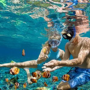 Un uomo e una donna con l'attrezzatura da snorkeling sott'acqua, che nutrono un banco di pesci tropicali colorati in acque limpide e blu.