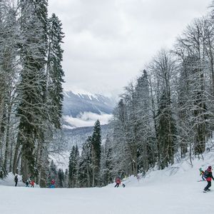 Un viaggio di gruppo WeRoad per sciare su un pendio montano innevato circondato da alti pini coperti di neve.