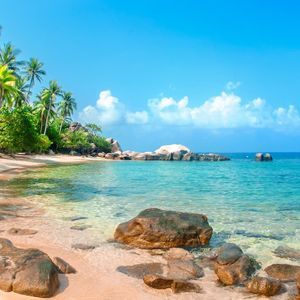 Una spiaggia tropicale sabbiosa con grandi massi incontra l'oceano turchese limpido sotto un cielo blu con palme sulla riva.
