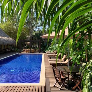 A tropical resort swimming pool with a wooden deck and lounge chairs, framed by large green palm leaves.