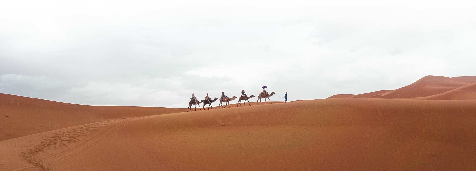 Discover WeRoad group trips to Africa