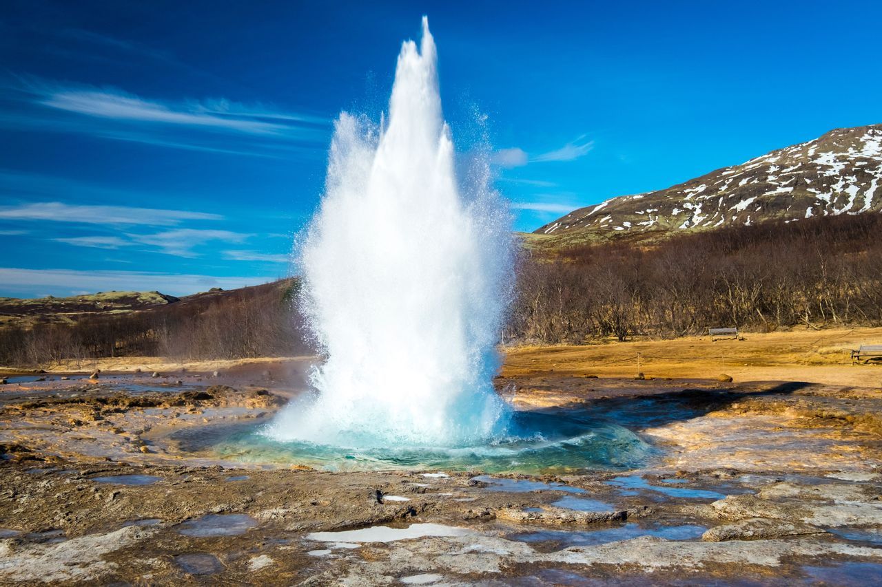 Geysir｜TikTok Search