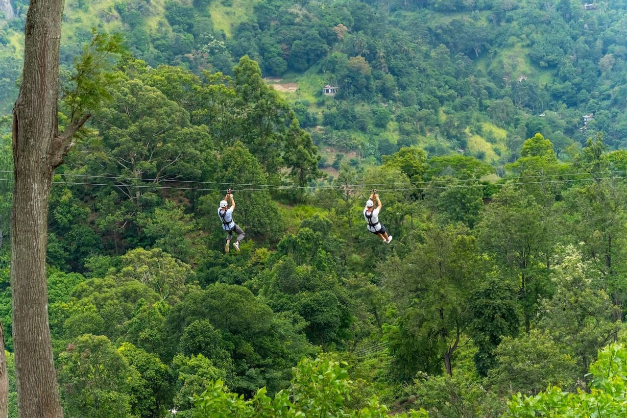 south-africa-zip-line-canopy-tour