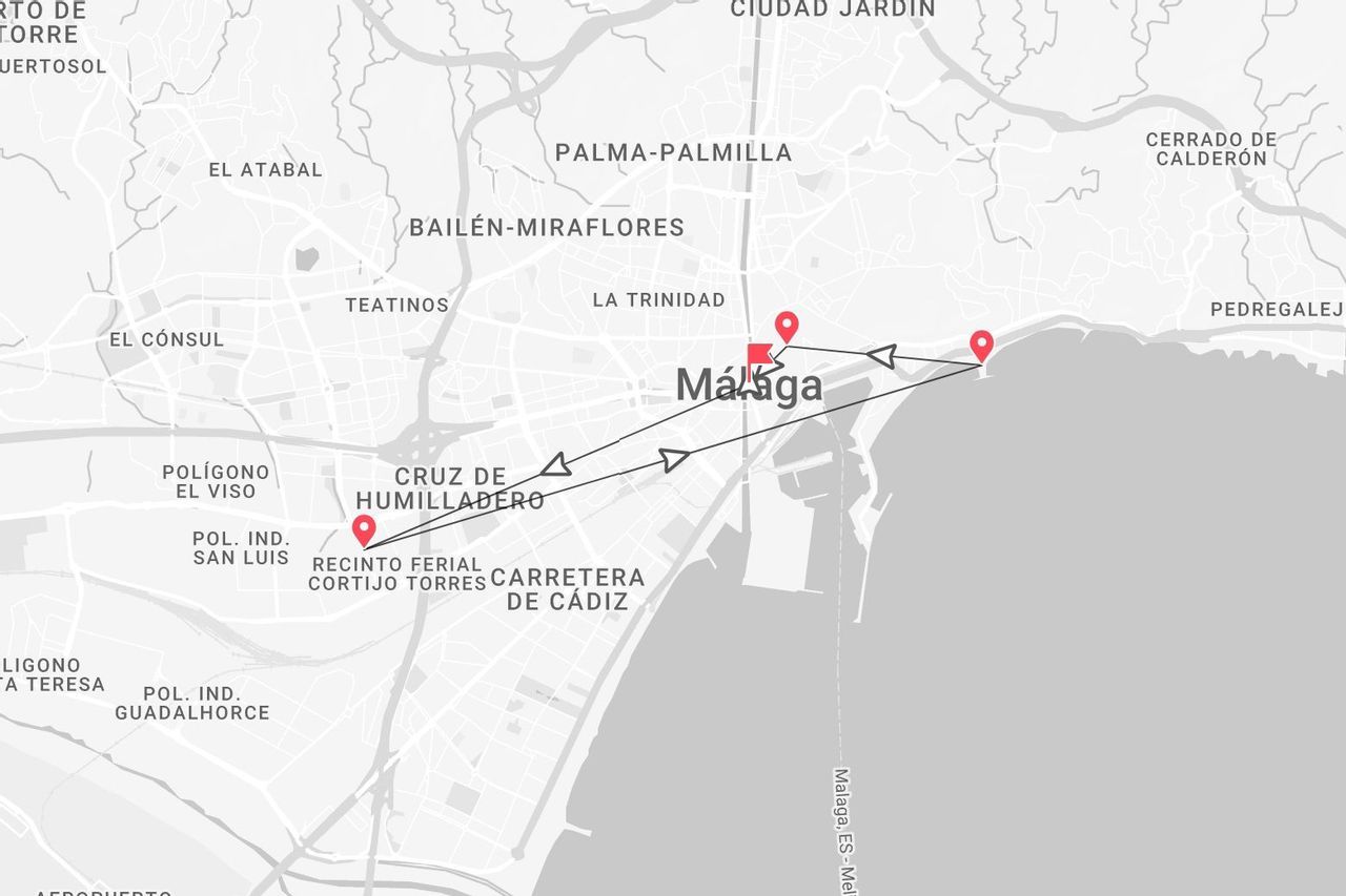 Una mappa in scala di grigi di Málaga, Spagna, che mostra un percorso turistico con spilli rossi che indicano varie tappe in tutta la città.