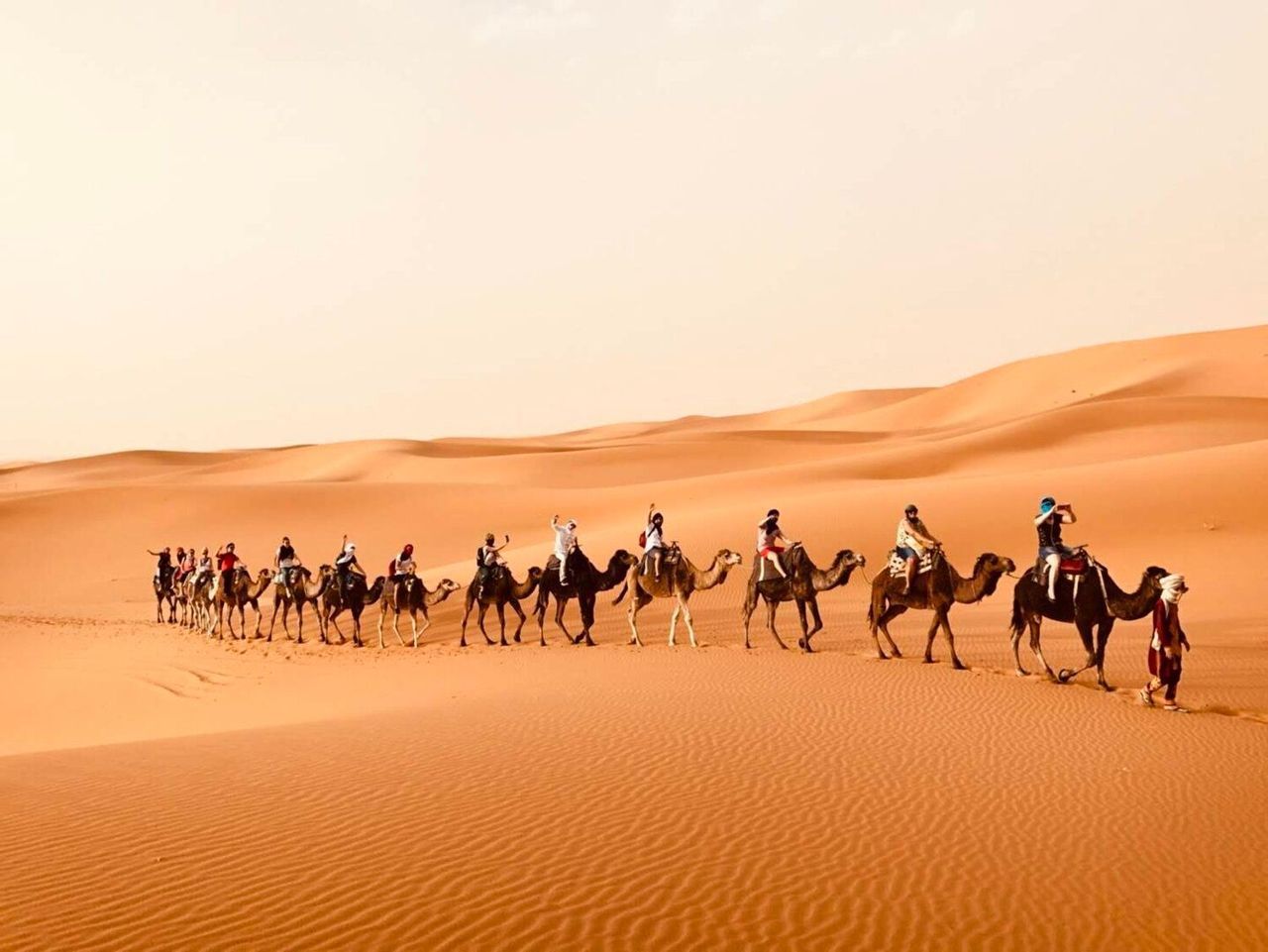 viaggio-marocco-deserto-cammelli-estate.jpg