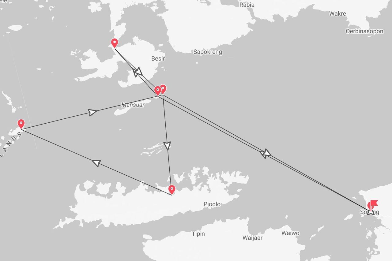 Un mapa mostrando una ruta de viaje con puntos de interés, conectando Sorong con islas como Mansuar y Besir.