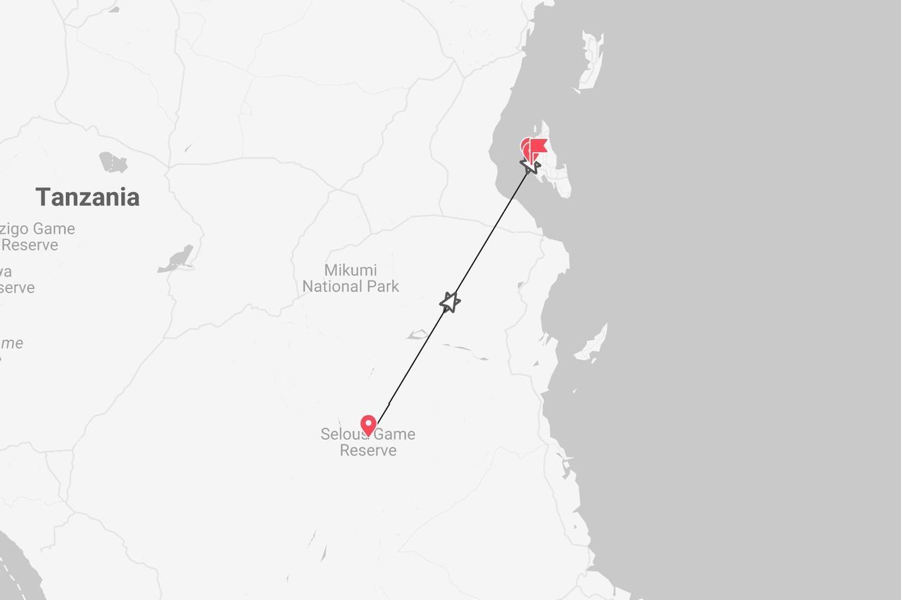 Mappa minimalista della Tanzania con itinerario dalla Riserva di Selous all'isola di Zanzibar.